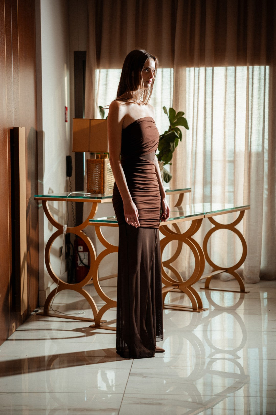 Whisper Maxi Brown Dress