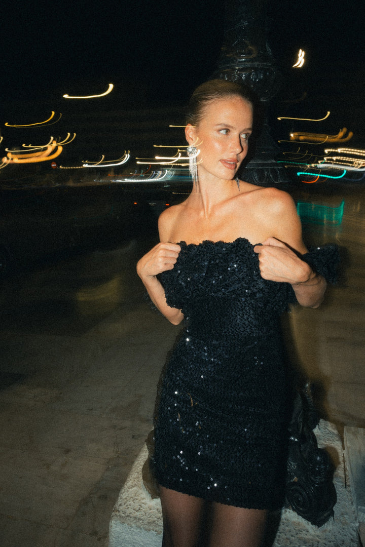 Cannes Velvet Sequins Dress