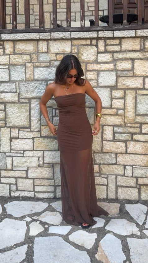 Eve Strapless Brown Dress